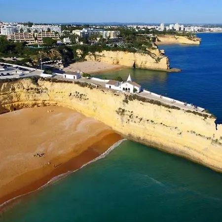Magnólia - Exotic Flower By The Sea * Armação de Pêra