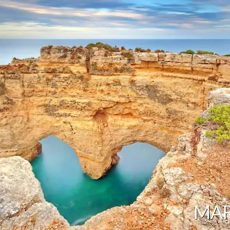 Magnólia - Exotic Flower By The Sea * Armação de Pêra